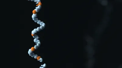 Strand of DNA with methylation highlighted in orange