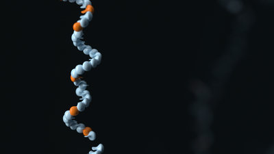 Adapting nanopore sequencing basecalling models for modification detection via incremental learning and anomaly detection