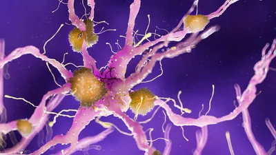 Long-read transcriptomic identification of synaptic adaptation to amyloid pathology in the AppNL-G-F knock-in mouse model of the earliest phase of Alzheimer’s disease