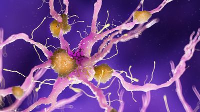 Long-read transcriptomic identification of synaptic adaptation to amyloid pathology in the AppNL-G-F knock-in mouse model of the earliest phase of Alzheimer’s disease