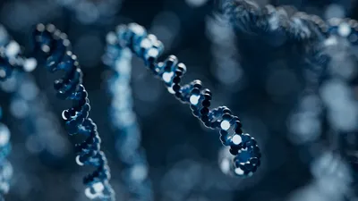 DNA long-read sequencing