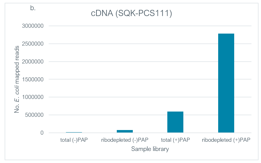 Figure 3b. Number of mapped reads per species.