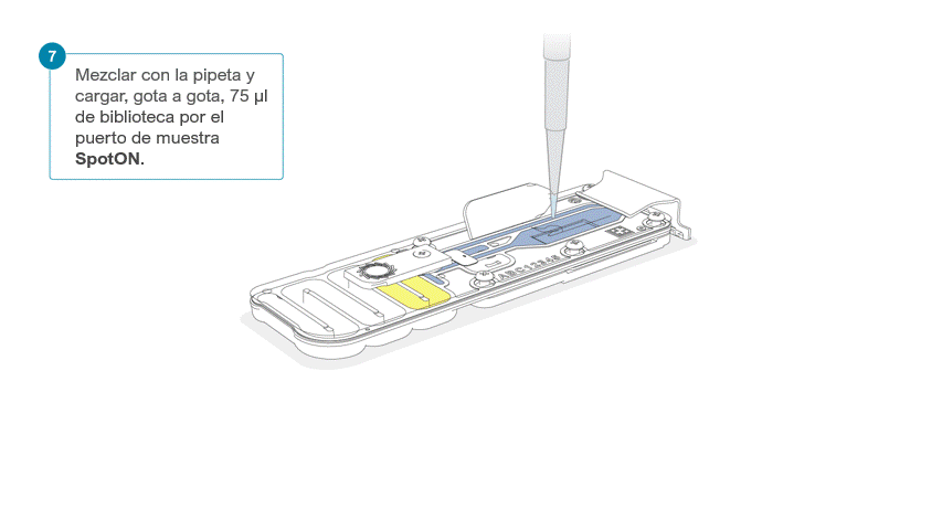 Flow Cell Loading Diagram Step 07 V5 SPANISH Flow Cell Loading Diagram Step 07 V5 SPANISH