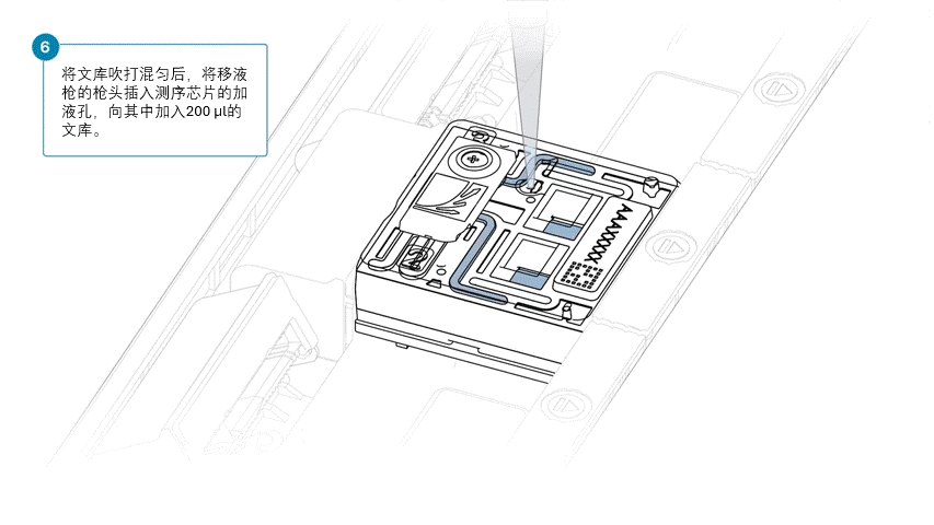 Prom Flowcell Loading 6 中文 Prom Flowcell Loading 6 中文