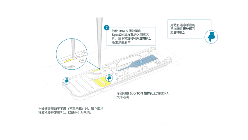 Chinese_GridION-Step 7 8 9 looping