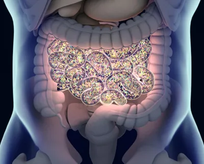 Microbial interactions induce the mutational signature of mismatch repair deficiency in colorectal cancer and are associated with *EPPK1* mutations