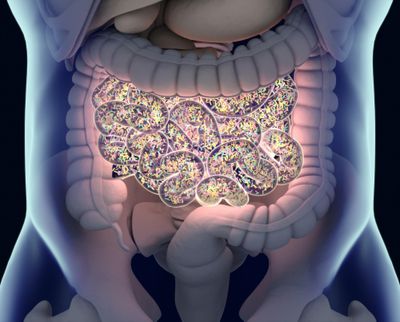 Microbial interactions induce the mutational signature of mismatch repair deficiency in colorectal cancer and are associated with *EPPK1* mutations