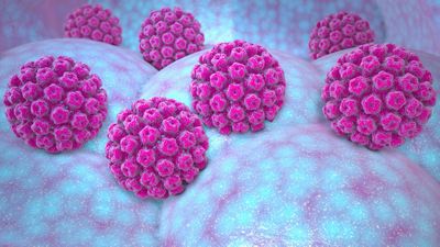HPV virus