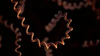 Nanopore direct RNA sequencing reveals METTL2A-mediated m3C sites in poly(A) RNA