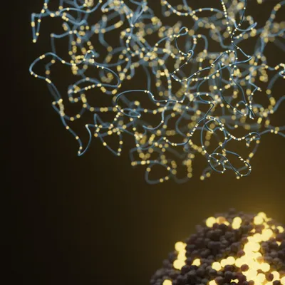 Exploring the future of rapid leukaemia diagnosis with a single-platform workflow