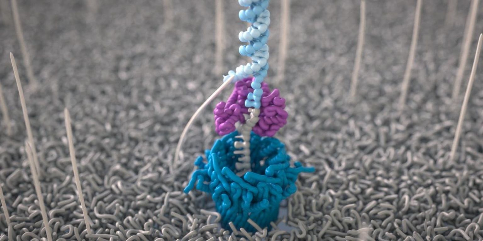 Toward single-molecule protein sequencing using nanopores