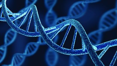 DNA
