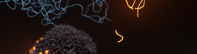 Cancer cell