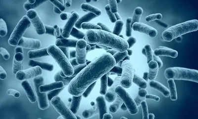 Genomic diversity and antimicrobial resistance of *Vibrio cholerae* isolates from Africa: a PulseNet Africa initiative using nanopore sequencing to enhance genomic surveillance