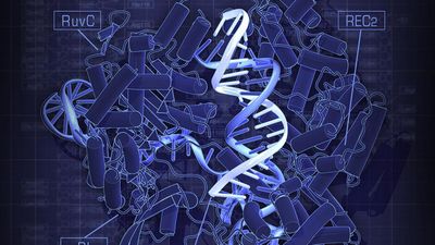 Sex differences in MAGEL2 gene promoter methylation in high functioning autism trends from a pilot study using nanopore Cas9 targeted long read sequencing