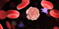 Hierarchical classification of haematologic malignancies using epigenetic and genetic information