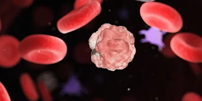 Hierarchical classification of haematologic malignancies using epigenetic and genetic information