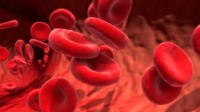 Genomic heterogeneity and lineage-specific beta-lactamases in recurrent *Achromobacter* bloodstream infection patients