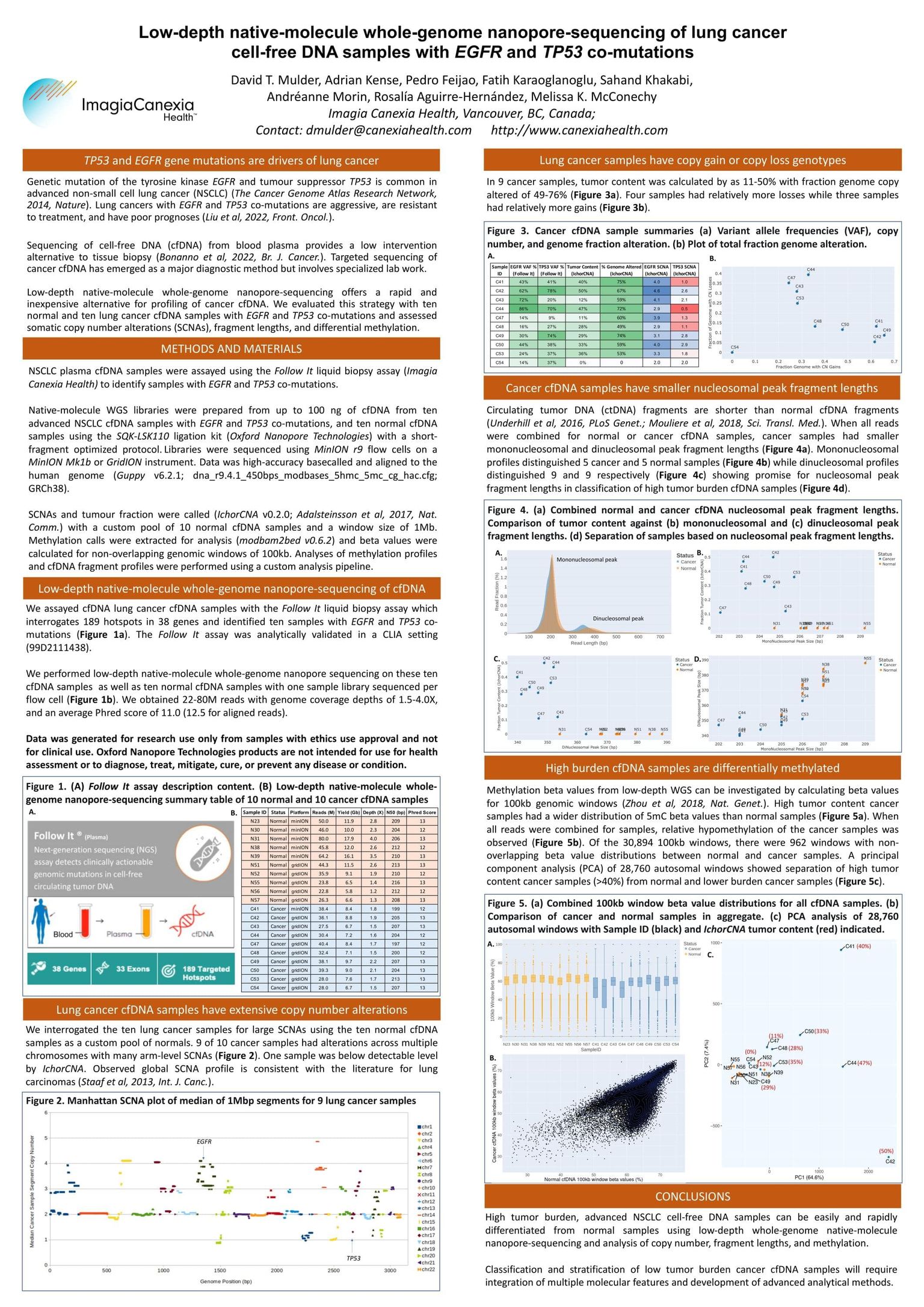 Low-depth native-molecule whole-genome nanopore-sequencing of lung cancer cell-free DNA samples with *EGFR* and *TP53* co-mutations