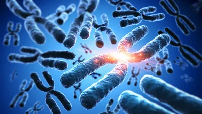 Measuring X inactivation skew for X-linked diseases with adaptive nanopore sequencing