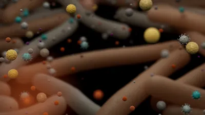 Different colour and types of microbes (yellow, blue-green, orange, purple)