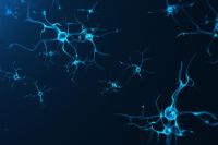 Cell-specific RNA isoform remodelling in the ageing mouse brain