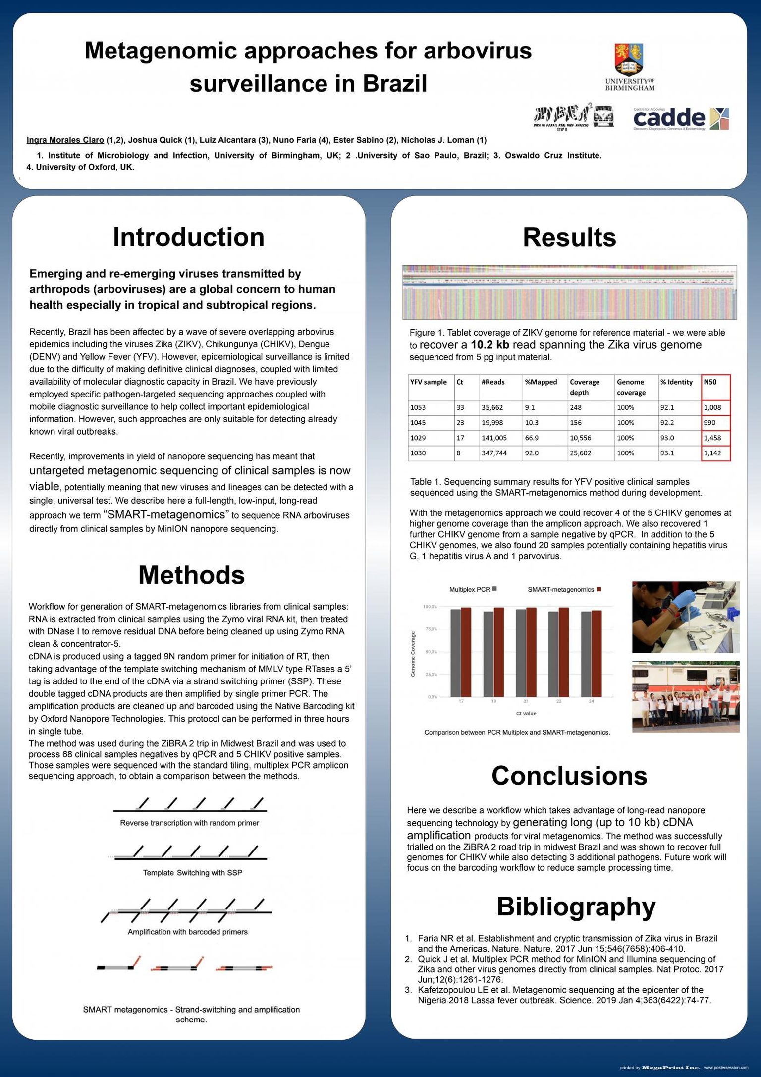 Metagenomic approaches for arbovirus surveillance in Brazil