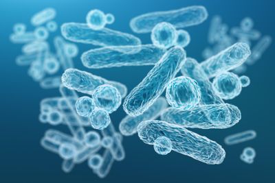 White outlines of bacteria on blue background
