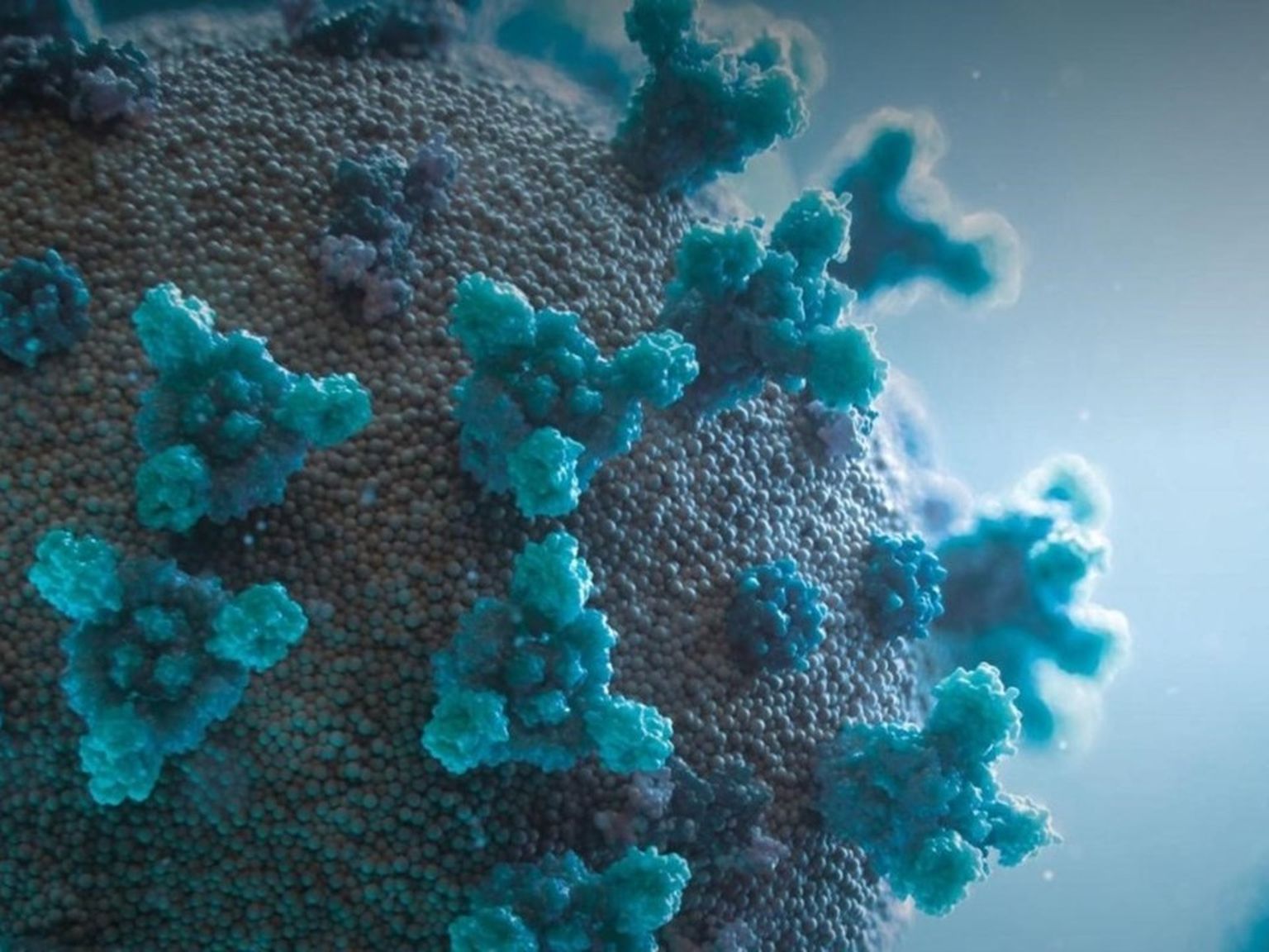 NCM 2023 Houston: Building and applying global pathogen surveillance in a post/peri-pandemic world