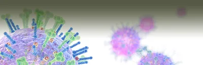 influenza