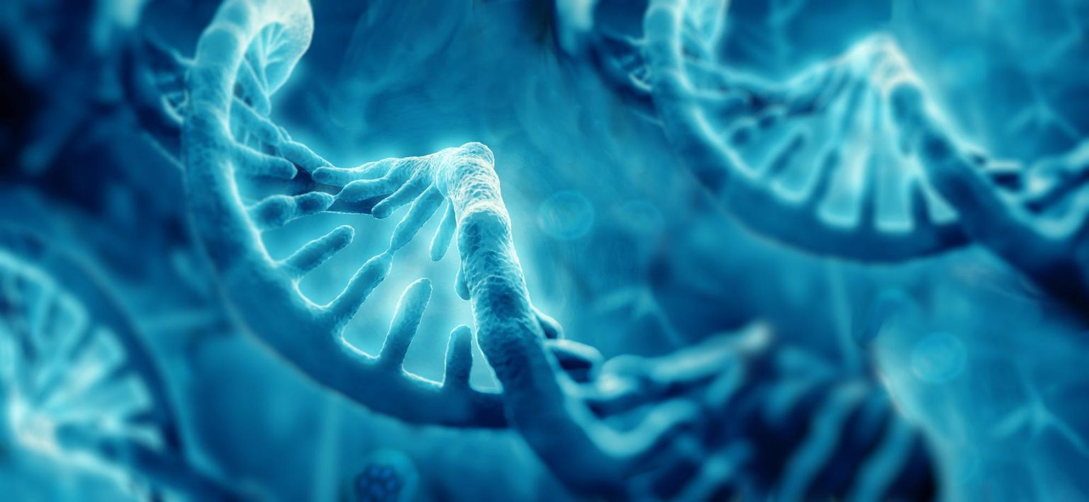 Webinar in Spanish: Aumento potencial del rendimiento diagnóstico en genómica humana, gracias a la secuenciación por nanoporos
