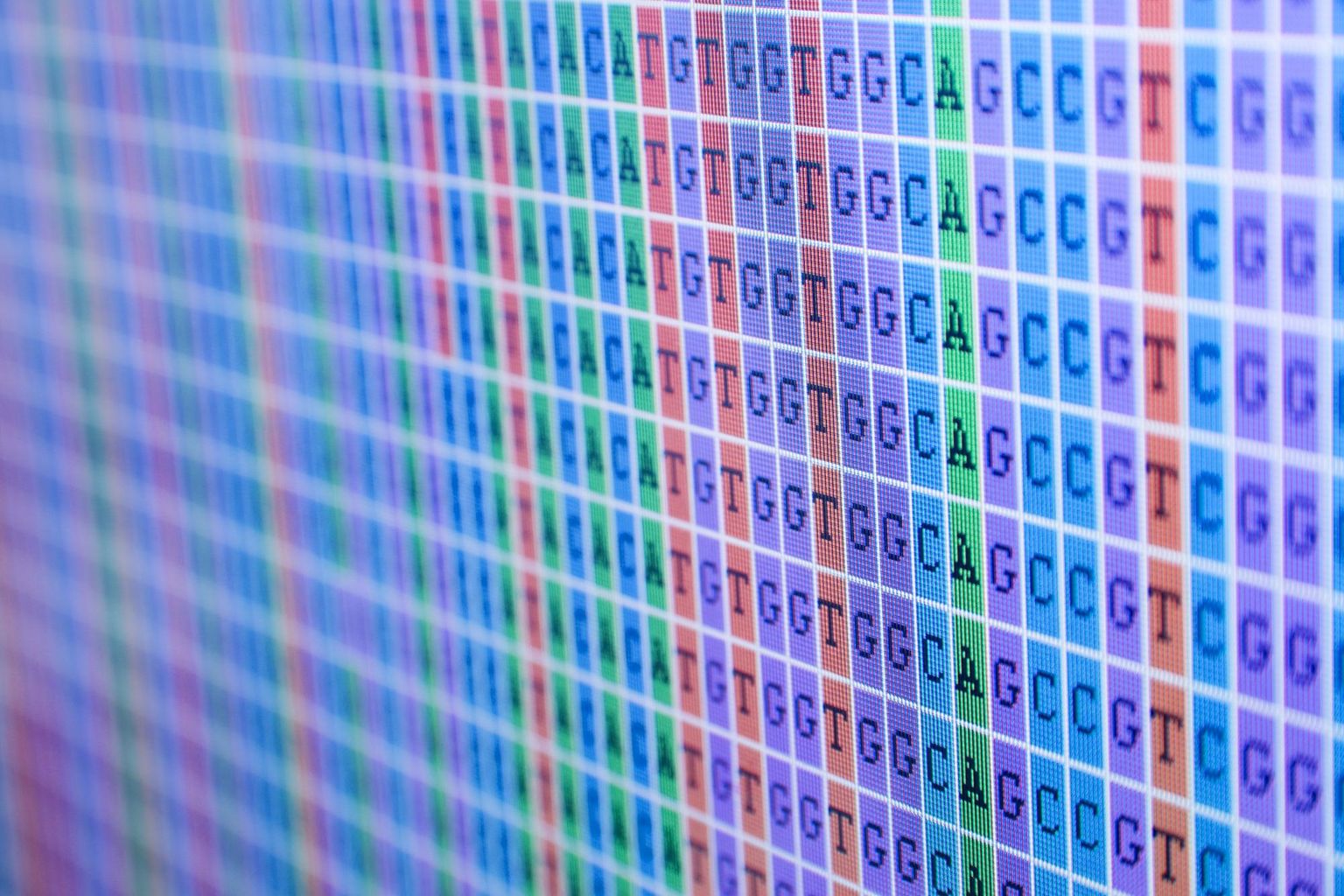 Wengan: Efficient and high quality hybrid *de novo* assembly of human genomes