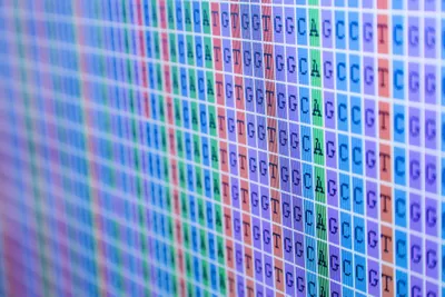 DNA sequence alignment