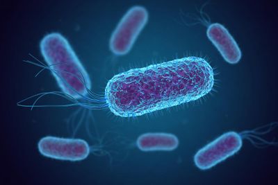 Harnessing non-standard nucleic acids for highly sensitive icosaplex (20-plex) detection of microbial threats