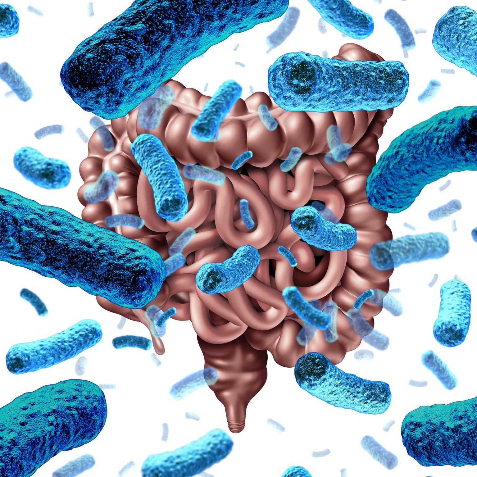 Roving methyltransferases generate a mosaic epigenetic landscape and influence evolution in *Bacteroides fragilis* group
