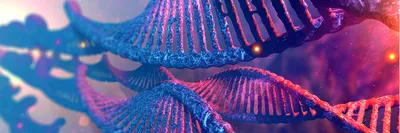 DNA