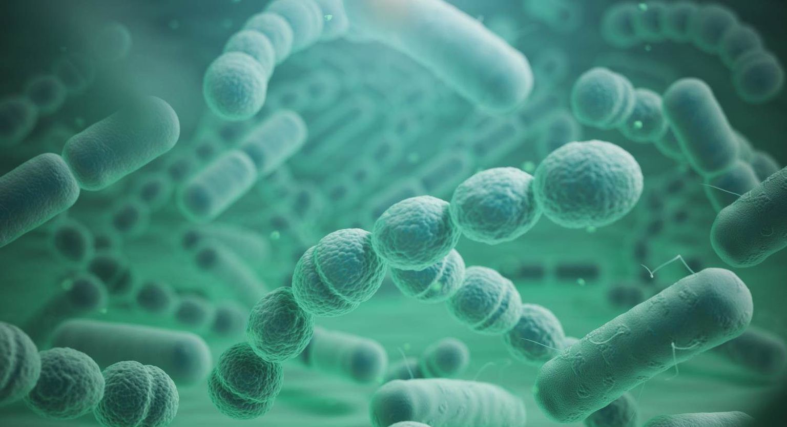 Sensitivity and specificity of nanopore sequencing for detecting carbapenem and 3rd-generation cephalosporin-resistant *Enterobacteriaceae* in urine s