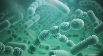 Sensitivity and specificity of nanopore sequencing for detecting carbapenem and 3rd-generation cephalosporin-resistant *Enterobacteriaceae* in urine samples: real-time simulation with public antimicrobial resistance gene database