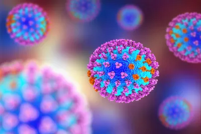 Influenza virus