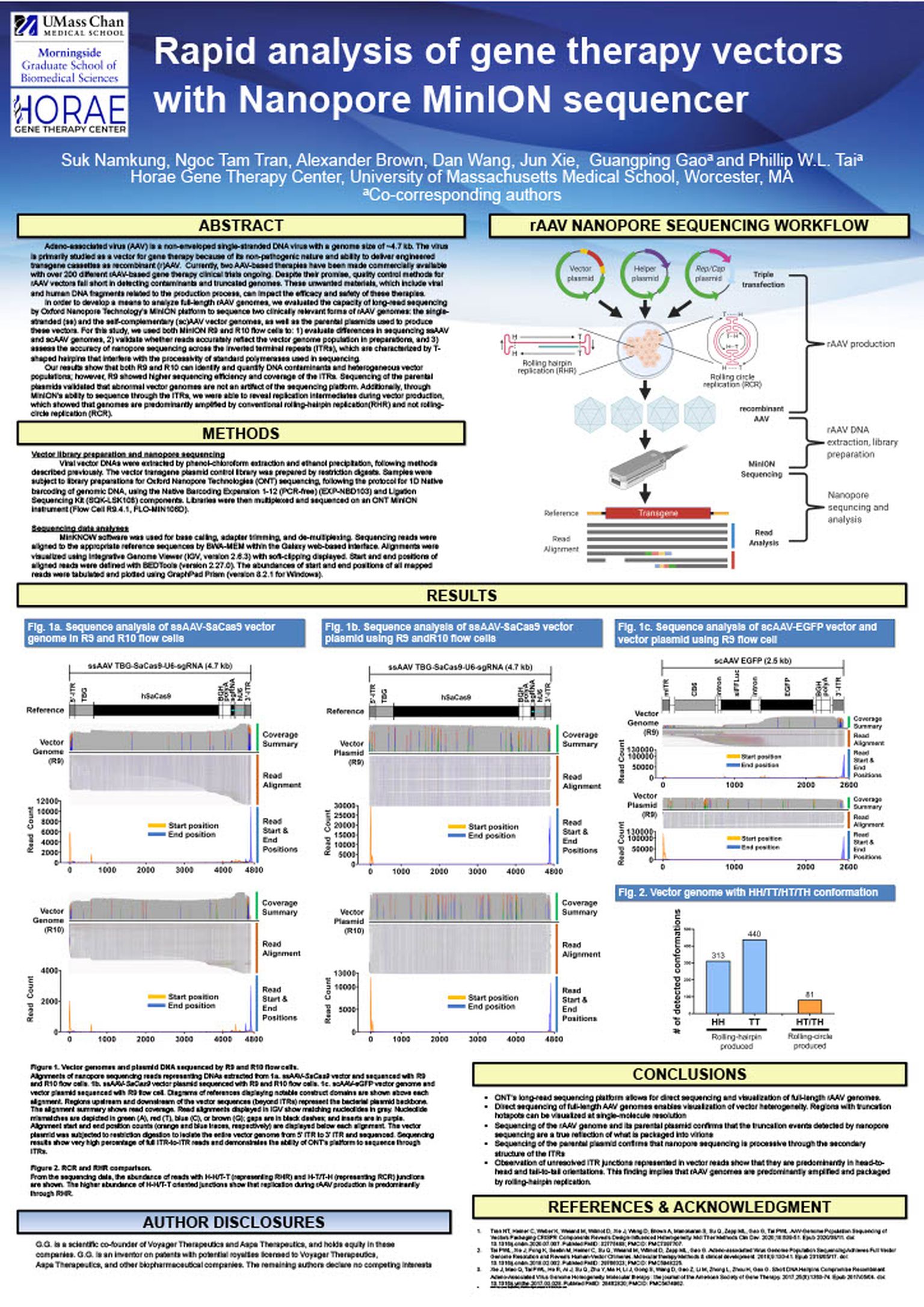 Rapid analysis of gene therapy vectors with the Oxford Nanopore MinION sequencer