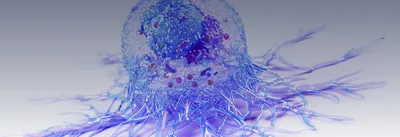 tumour-normal