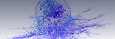 tumour-normal