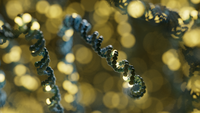 Accurate somatic small variant discovery for multiple sequencing technologies with DeepSomatic