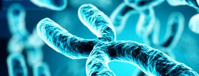 Societa Italiana di Genetica Umana (SIGU) 2026