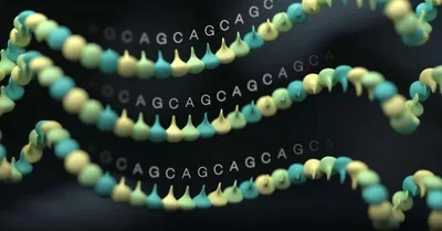Identification of GGC repeat expansions in *ZFHX3* among Chilean movement disorder patients
