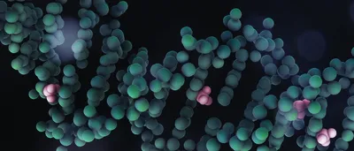 DNA