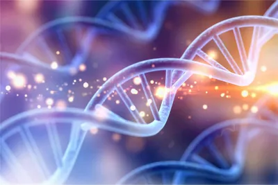 Dancing the Nanopore limbo – Nanopore metagenomics from small DNA quantities for bacterial genome reconstruction