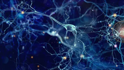 *GIPC1* intermediate-length repeat expansion in amyotrophic lateral sclerosis