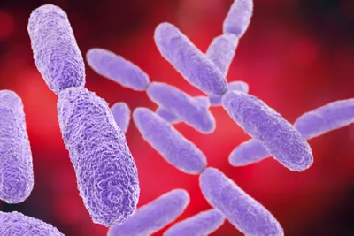 Informing infectious disease interventions with genomics during big events