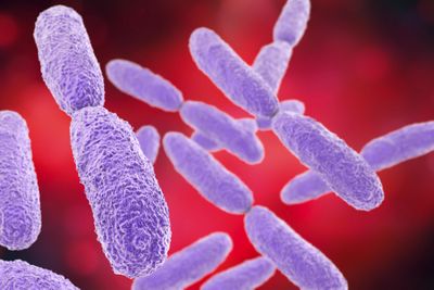 Culture and amplification-free nanopore sequencing for rapid detection of pathogens and antimicrobial resistance genes from urine